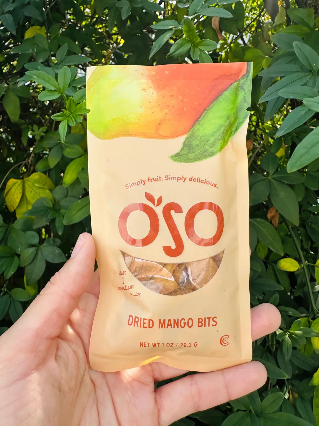 Dried Mango Bits - 1 Oz Bag - Grab & Go Snack