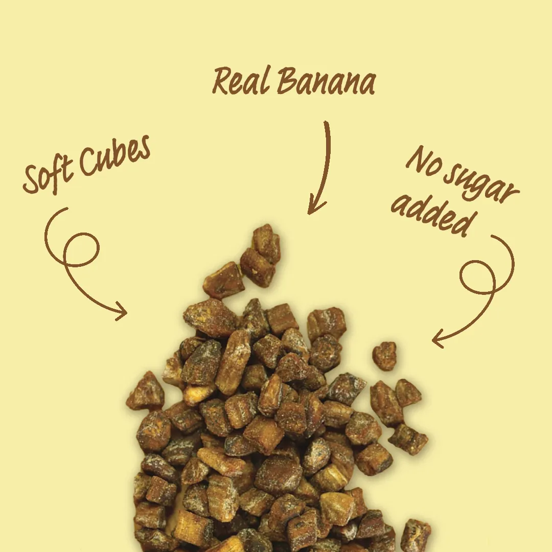 Dried Organic Banana Bits Slices. Dark and Sweet. 5LB Bulk Bag