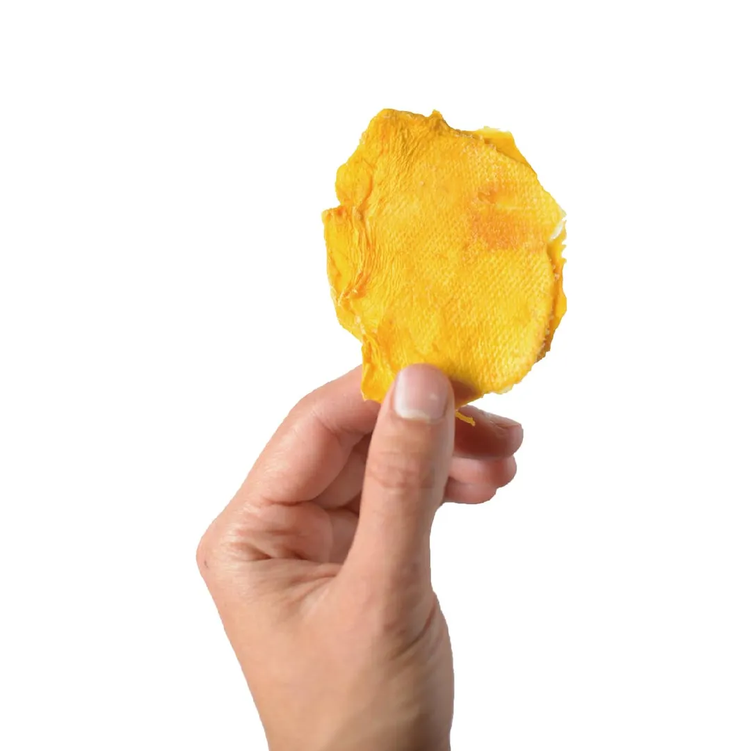 Dried Organic Mango Slices - 7 Oz Bag - Large round halves only!
