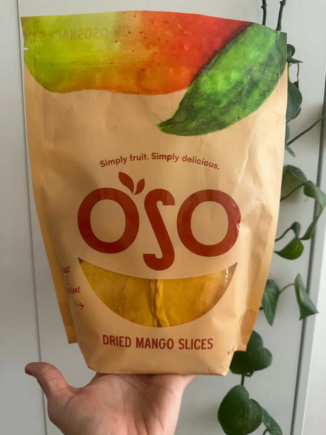 Dried Mango Slices - 23 Oz Bag