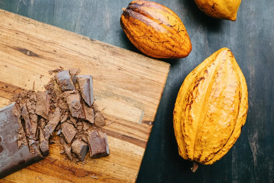 Ceremonial Grade Cacao Paste 