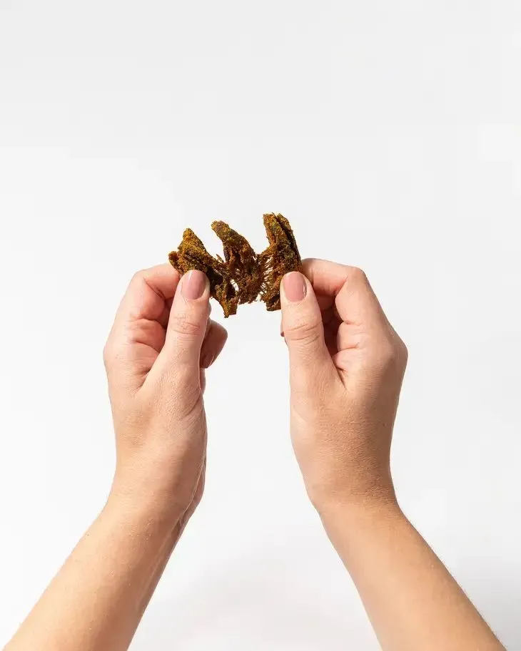 *NEW* Pan's Mushroom Jerky – Curry 1oz Single Serve