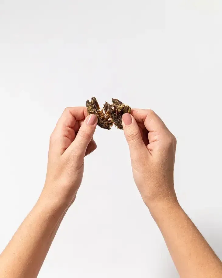 *NEW* Pan's Mushroom Jerky – Teriyaki 1oz Single Serve