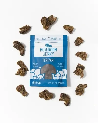 *NEW* Pan's Mushroom Jerky – Teriyaki 1oz Single Serve