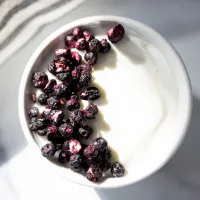 Freeze-Dried Wild Blueberries