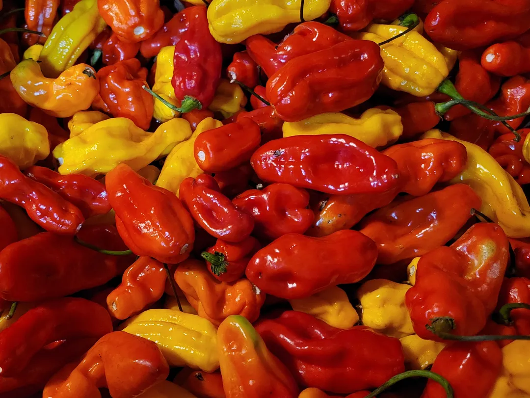 Crazy Uncle Red's Incendiary Hot Pepper Jelly