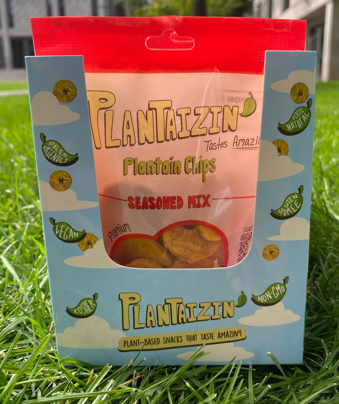 Plantain Chips - Seasoned Mix, 1.25oz (12 pack)
