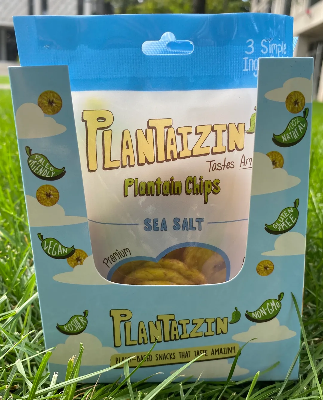 Plantain Chips - Sea Salt, 1.25oz (12 pack)