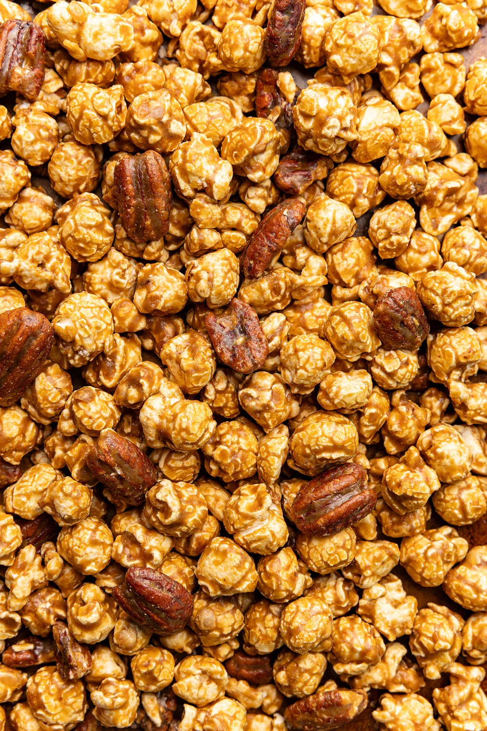In-Store Sampling Kit: Fall Flavors