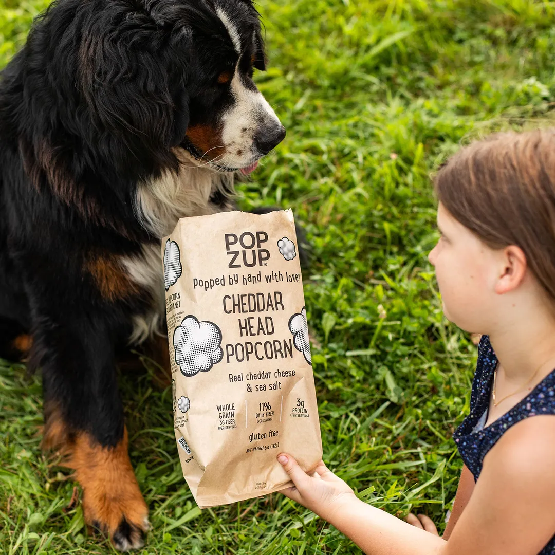 Cheddar Head Popcorn Bags - Family Sized