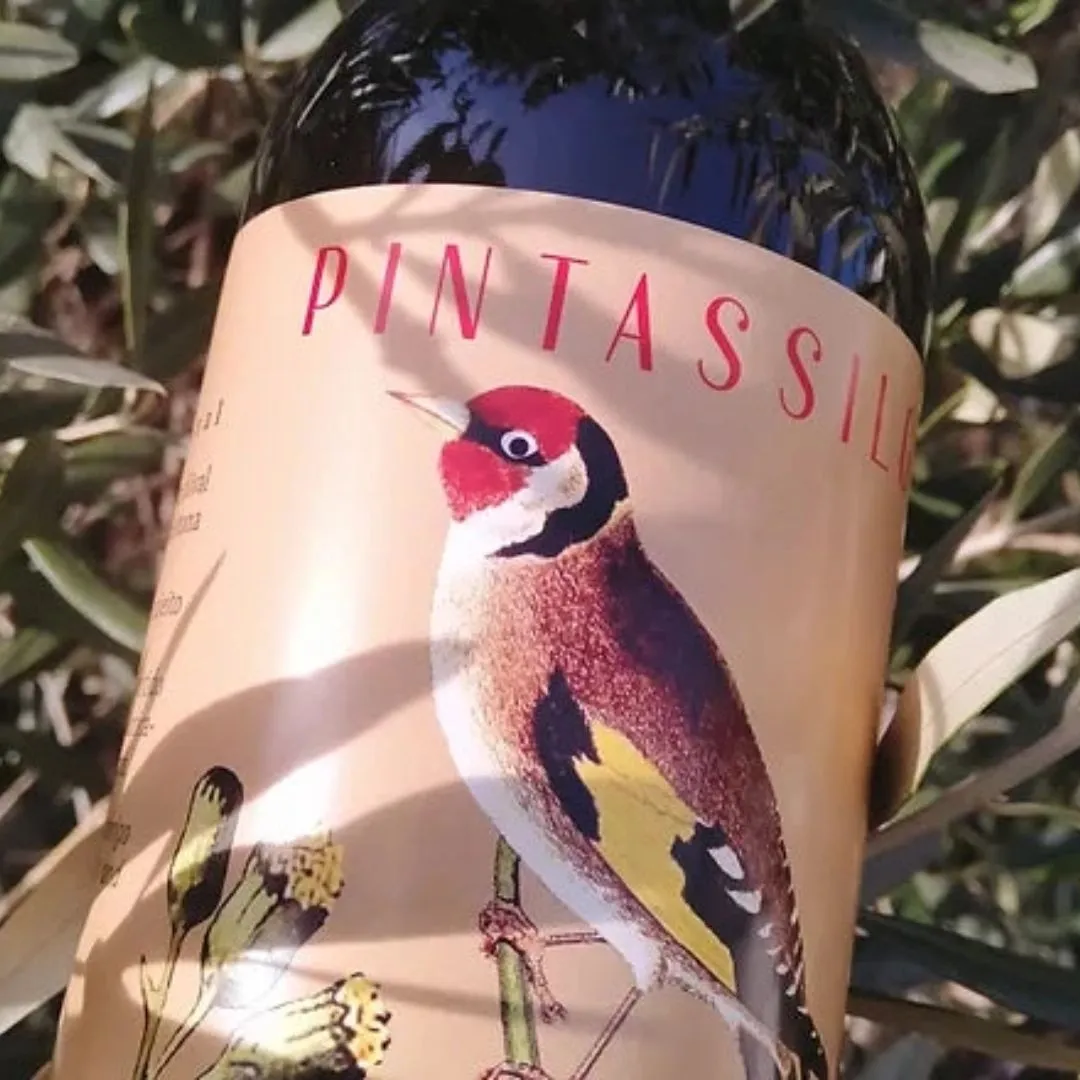 Pintassilgo Extra Virgin Olive Oil