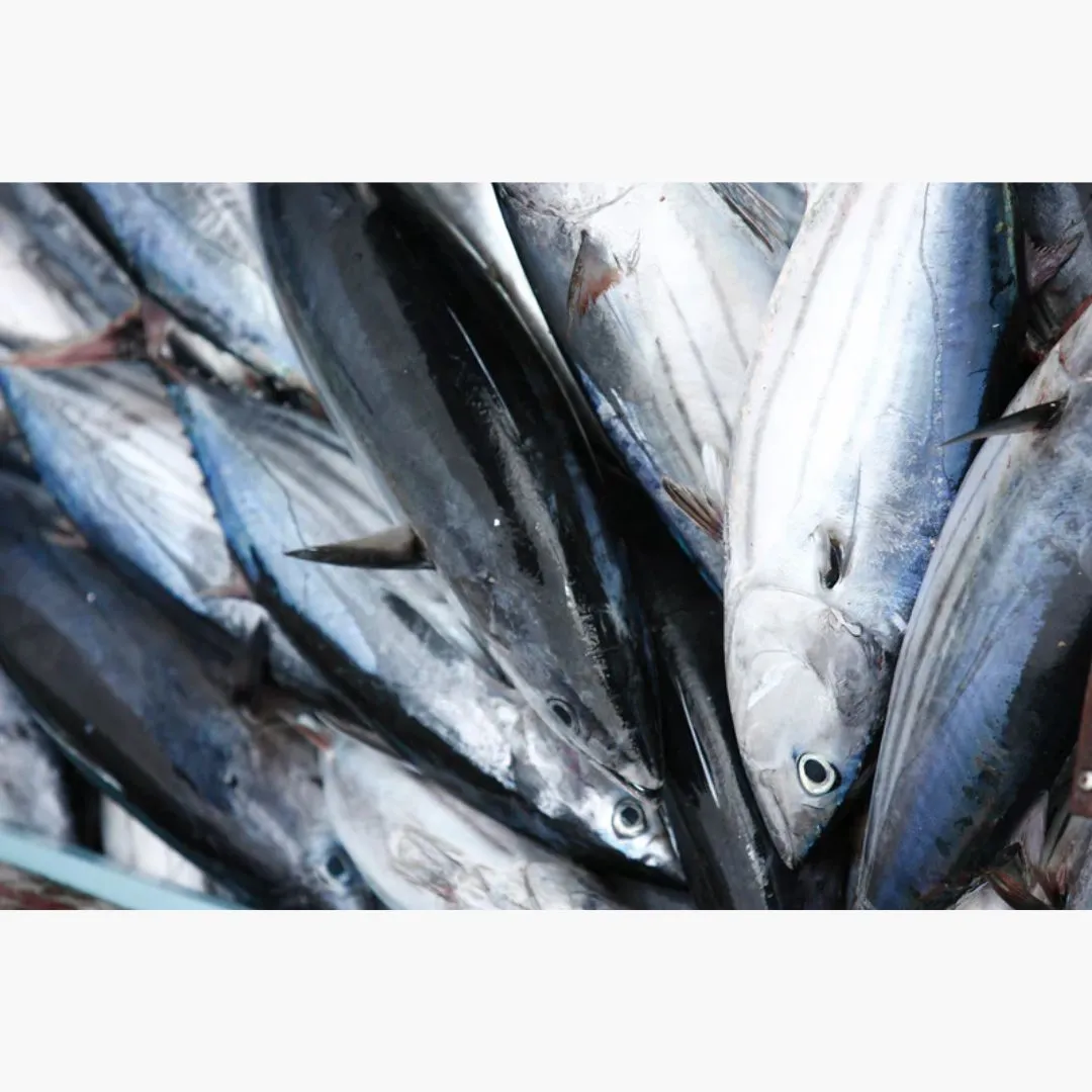 Santa Catarina Solid Tuna in Sunflower Oil - 375gr