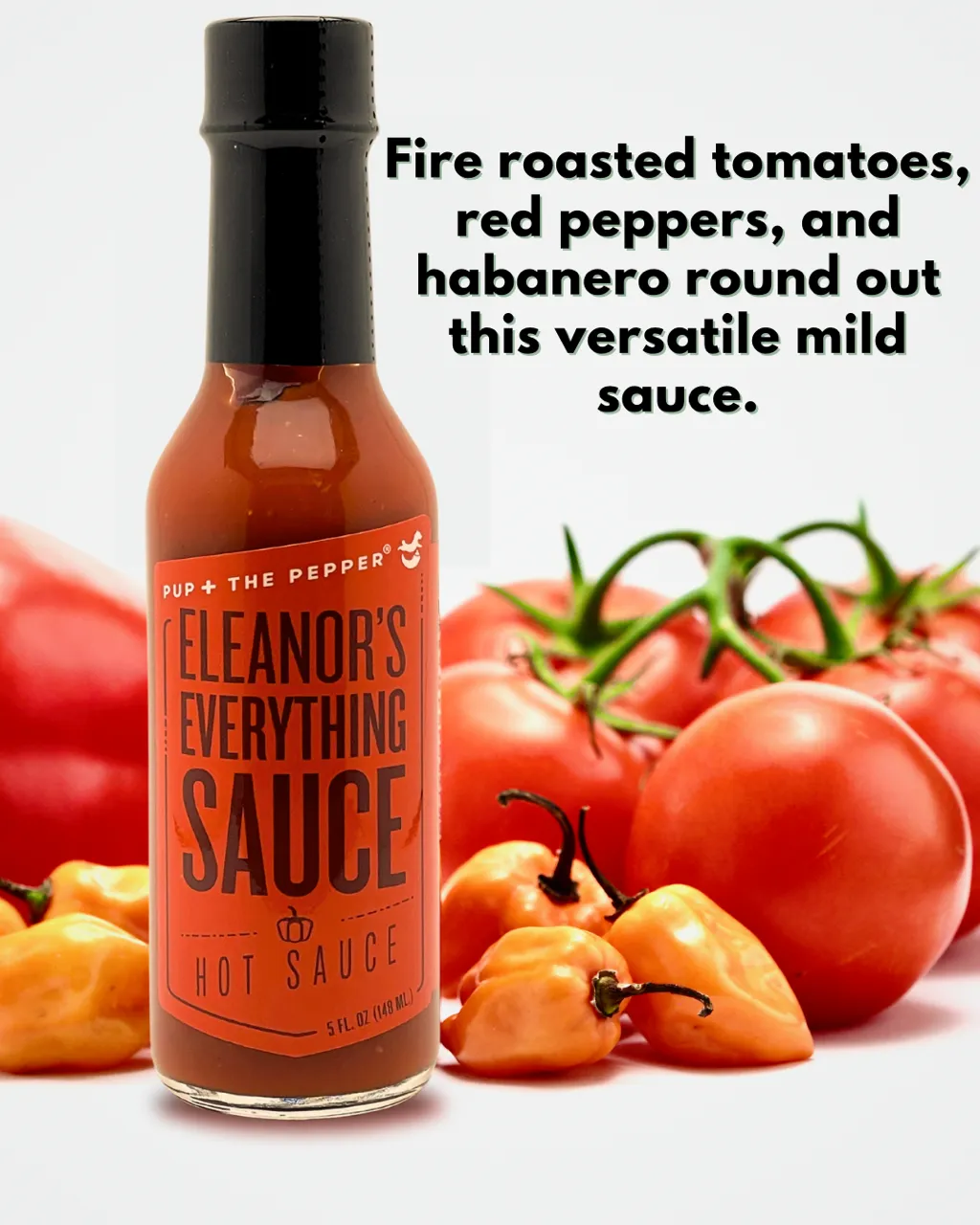 Eleanor's Everything Sauce