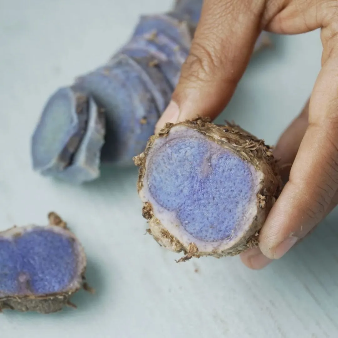 Black Turmeric, Certified Organic