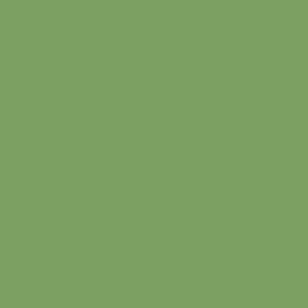 Kitchari (Khichadi), Certified Organic - Green