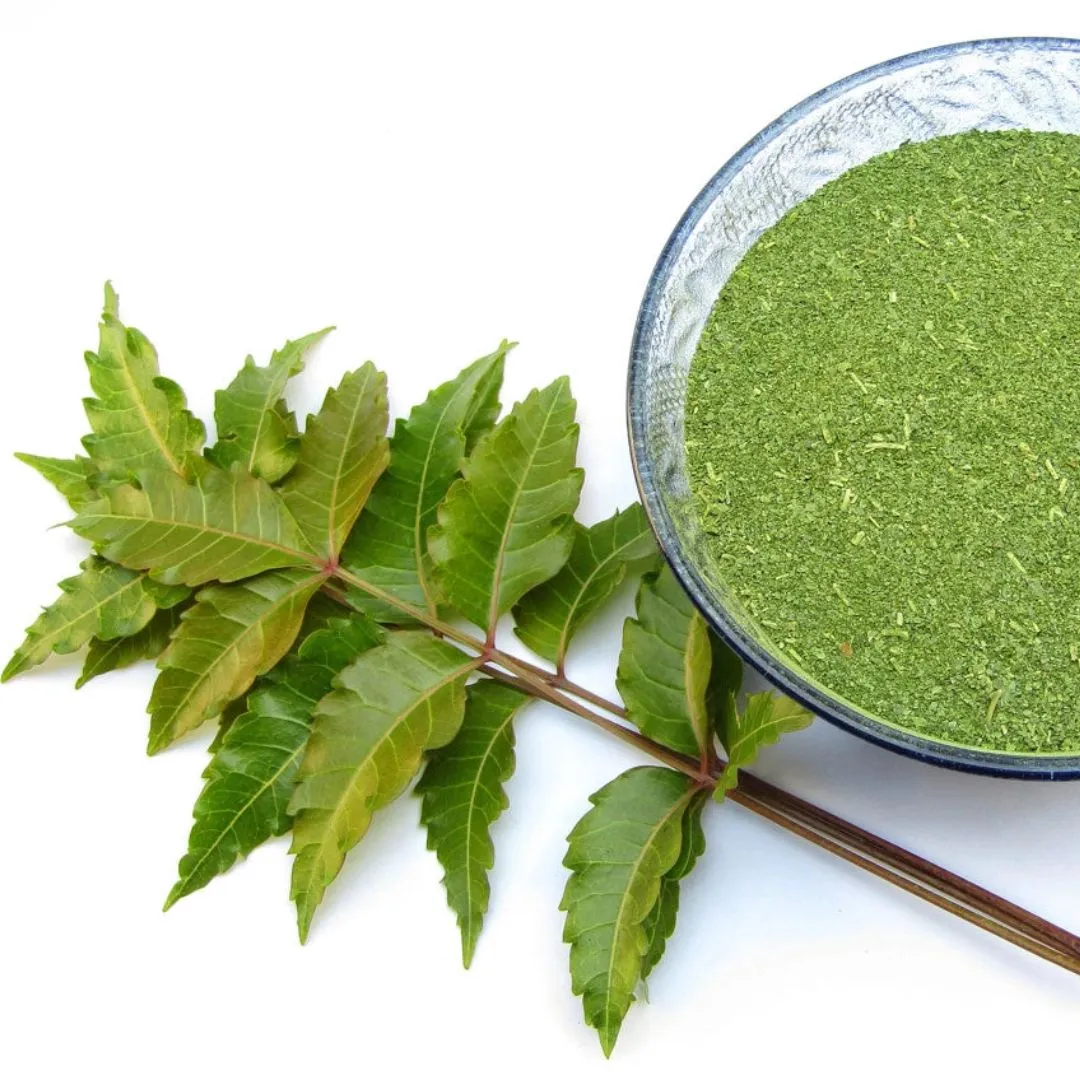 Neem Leaf Powder, Certified Organic - 8 oz