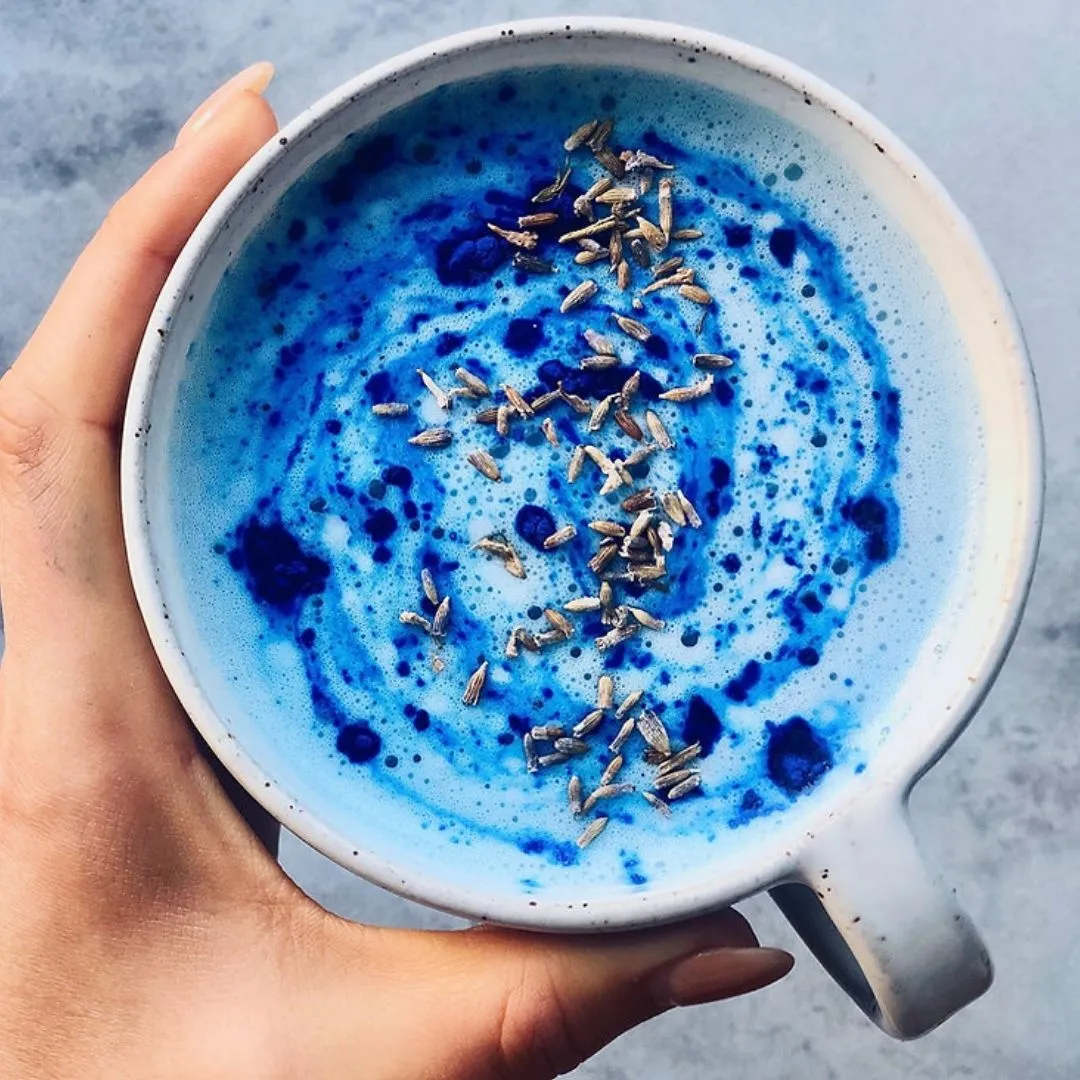 Pureshrooms Blue Lavender Latte w/ Lion's Mane & Turkey Tail