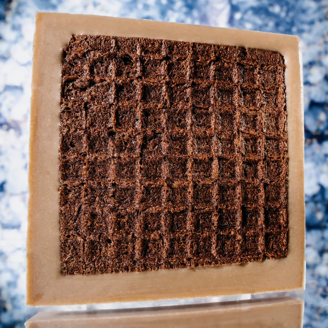 Gingerbread Dipped Waffle Cone Bar - Holiday Limited