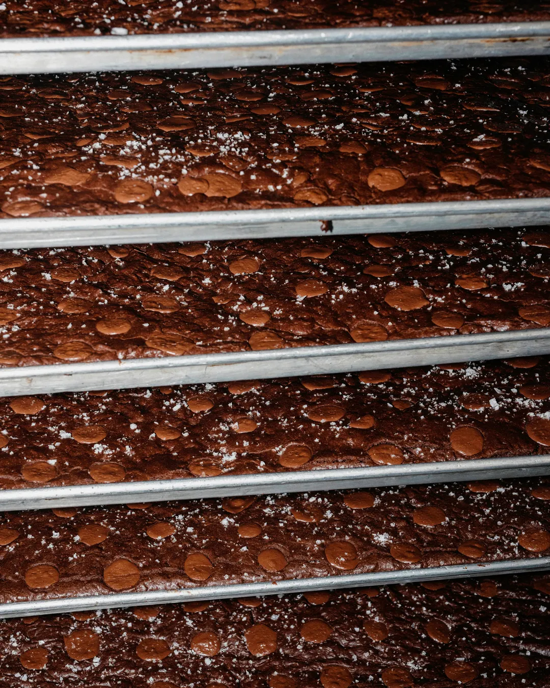 66% Cacao - Coconut Sugar Couverture - Pastille (10lb Bag)