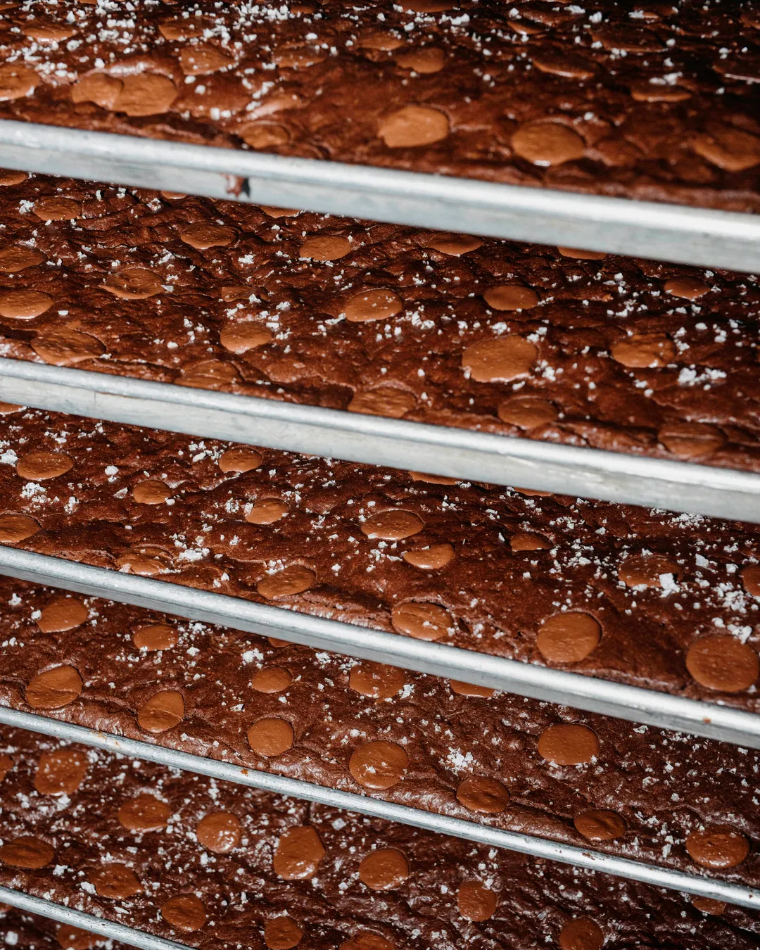 75% Cacao - Maple Dark Couverture - Pastilles (10lb Bag)