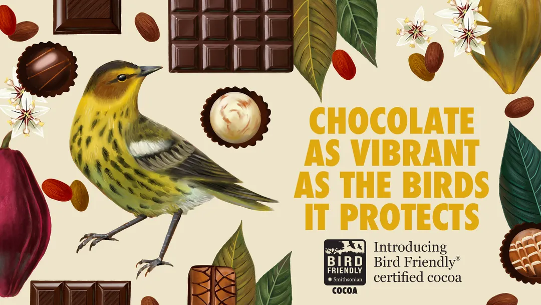 Wild Berry Dark Chocolate - Certified Bird Friendly - Limited Edition