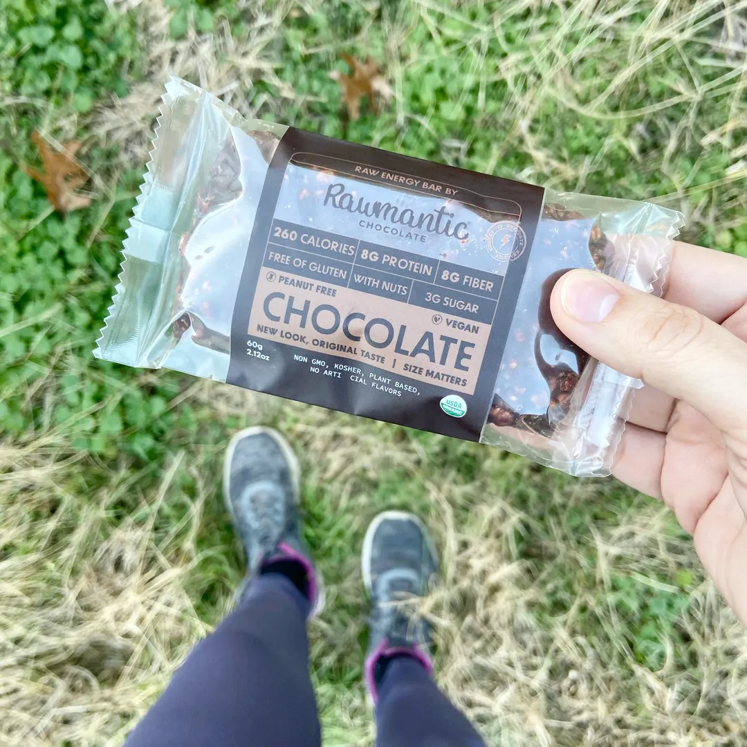 Dark Raw Chocolate Vegan Protein Bars