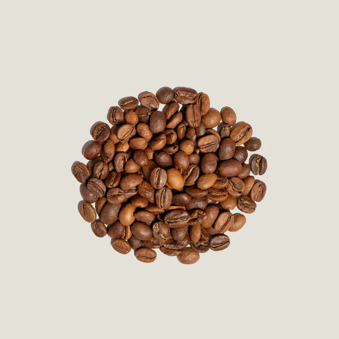 Ethiopia Worka Sakaro Anaerobic Natural Light Roast Coffee
