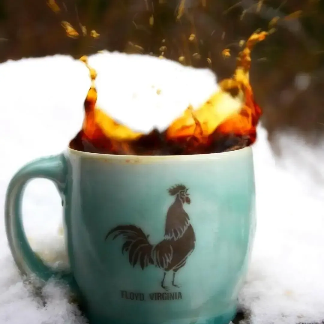 Organic Starr Hill Stout Blend - Coffee Beans