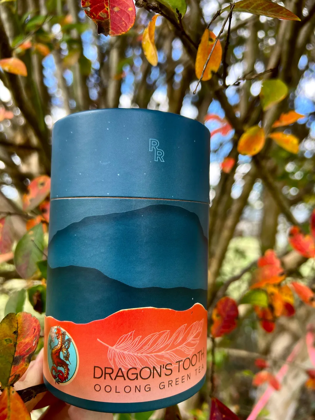 Rolled Oolong Tea – Dragon’s Tooth Loose Leaf (4 oz can)