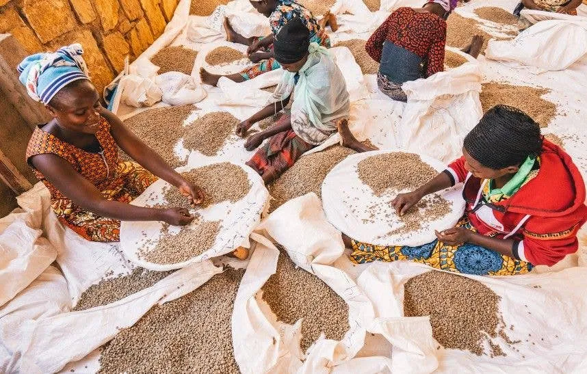 Rwanda Agaseke Washed Light Roast Coffee Beans