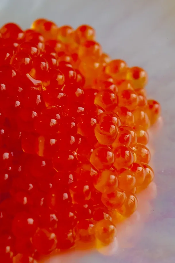 Regiis Ova Salmon Roe