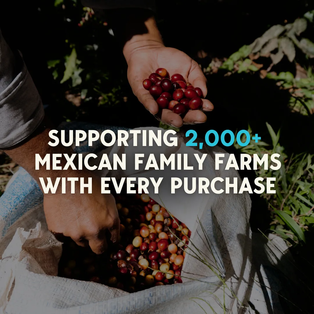 La Fortaleza Medium Roast Mexican Ground Coffee