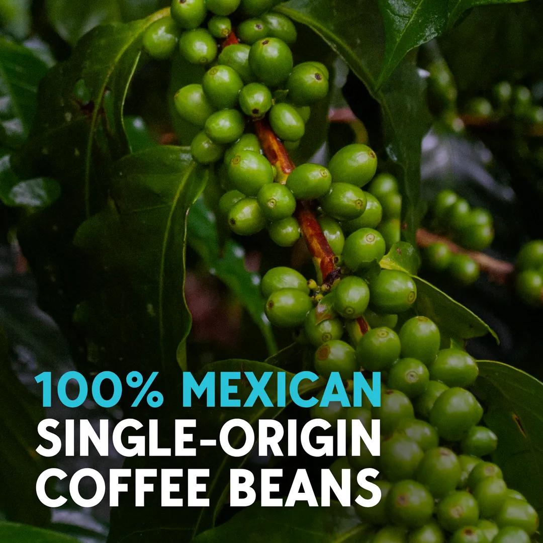 La Fortaleza Medium Roast Mexican Ground Coffee