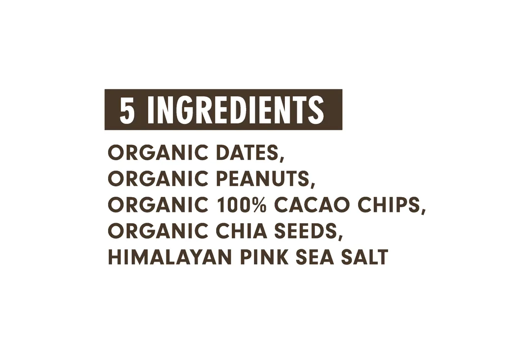 Jonesbar Chocolate Peanut Butter Organic Energy Bar 1.7oz