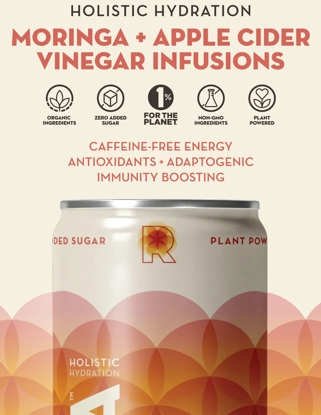 LEMON + GINGER – Moringa & Apple Cider Vinegar Infusion