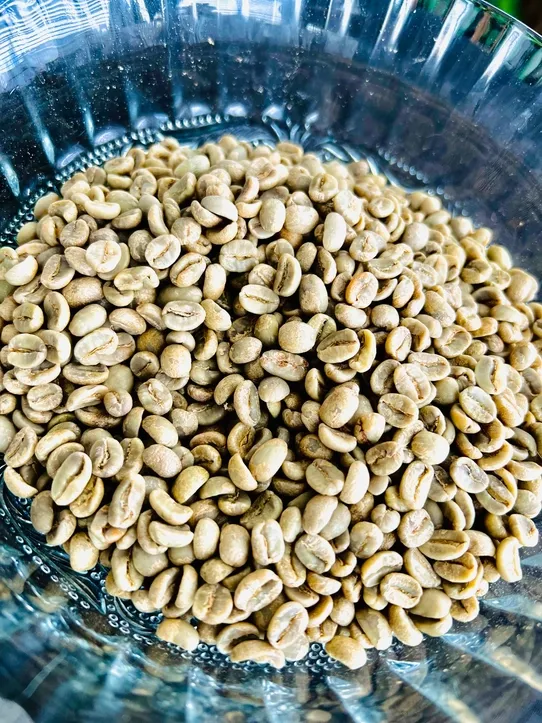 24lbs Ethiopia Natural Green Coffee Beans - Unroasted