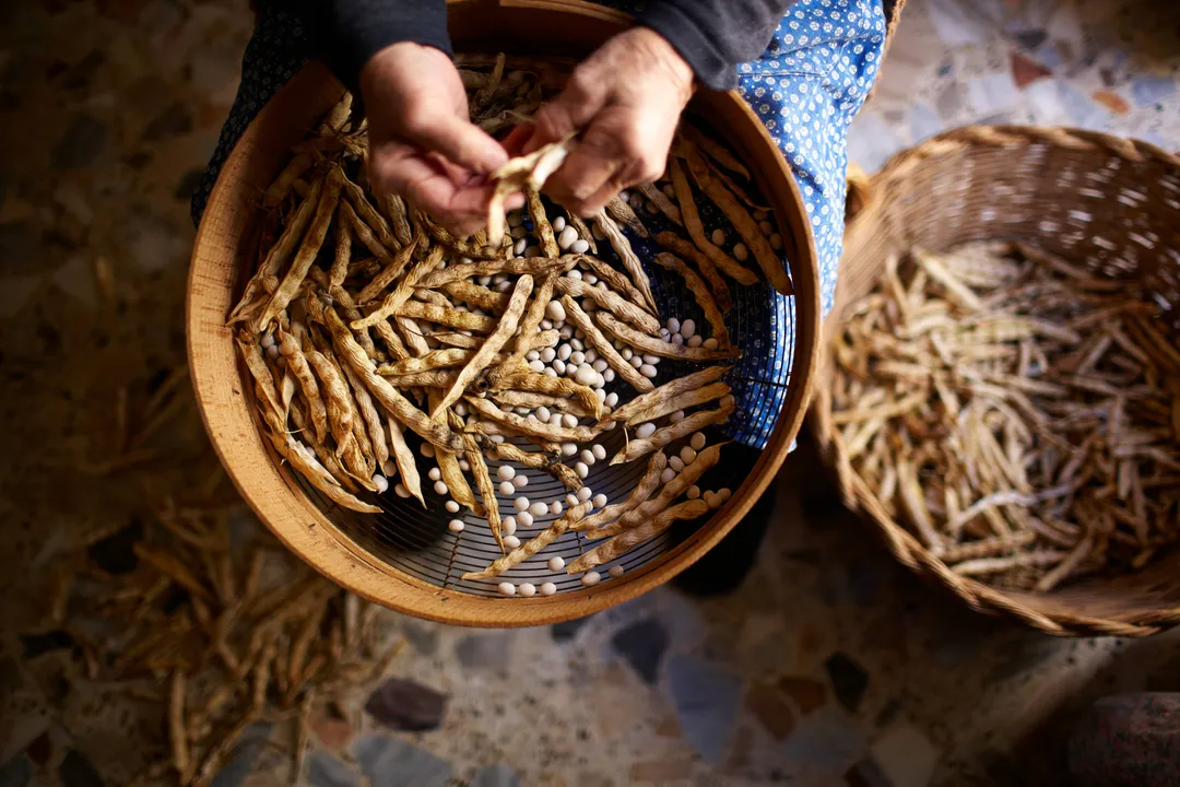 Michele Ferrante Fagioli di Controne No-Soak Heirloom Beans