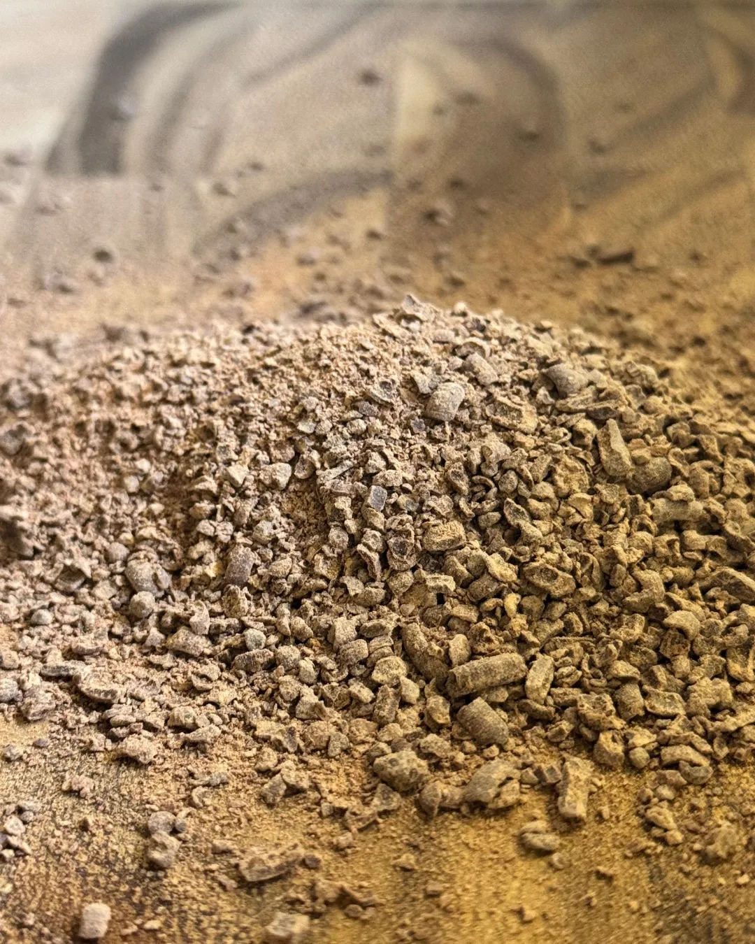 Rocket Cacao - Maple Sugar (caffeine hot chocolate)