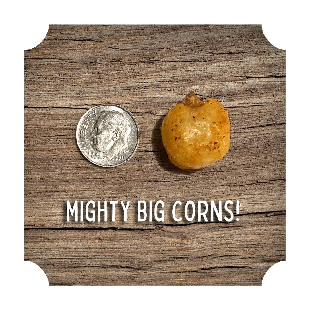 Crunchin' Corn - "BBQ Throwdown"