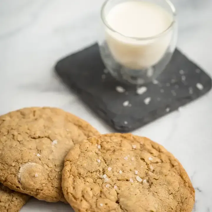 Oatmeal Raisin Cookies Finished with Sea Salt 4 oz – 2 Pack
