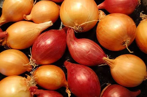 1 lb Onion Sea Salt