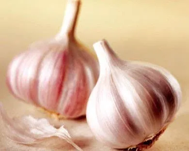 1 lb Garlic Sea Salt