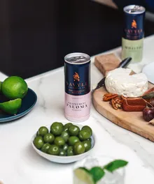 Paloma (12 x 250ml Cans)