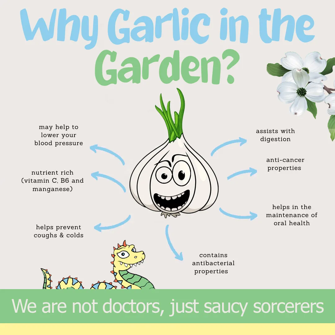 Garlic in the Garden Seasoning