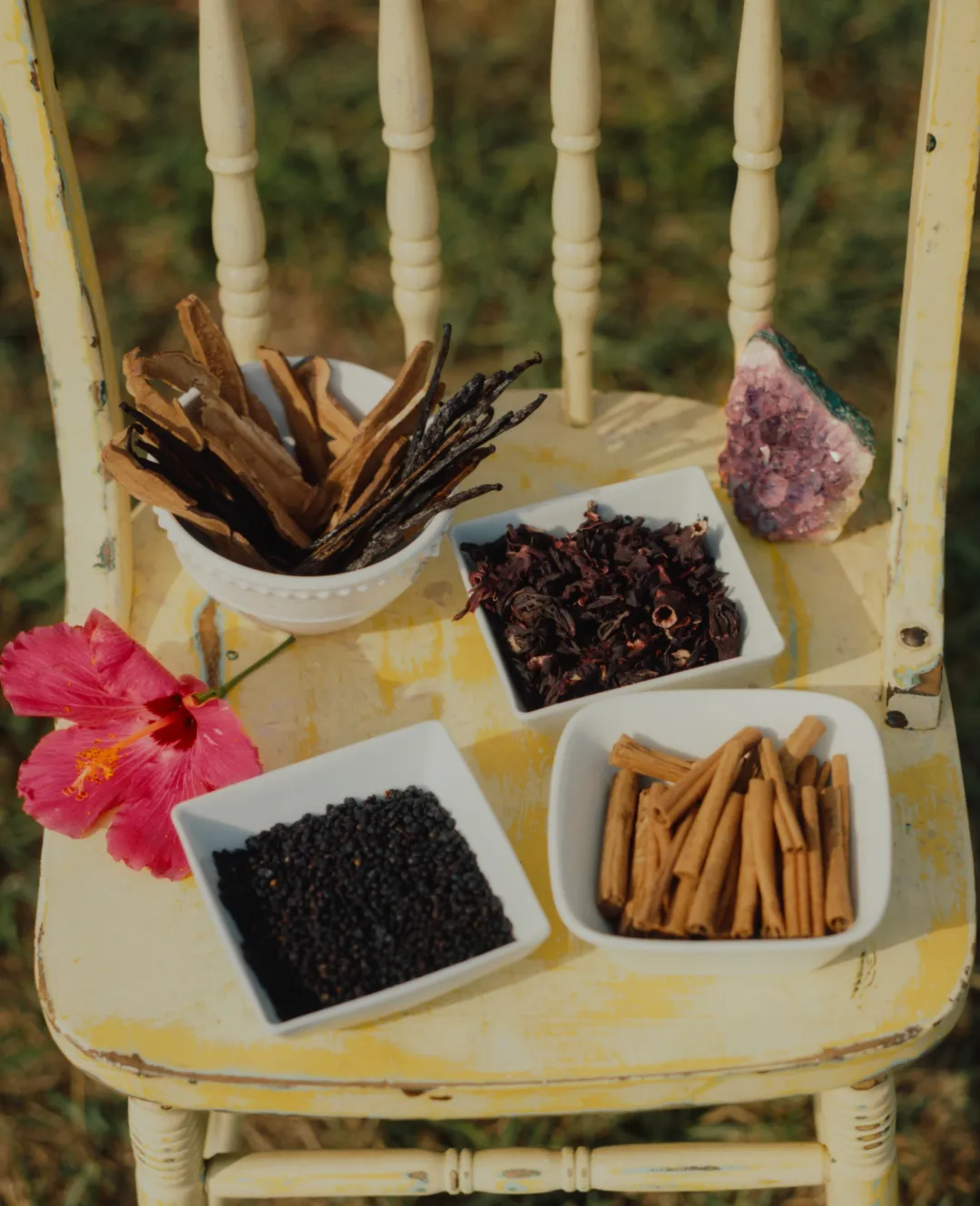 Pure Blends Cacao & Cassia - Mixed Case of 12