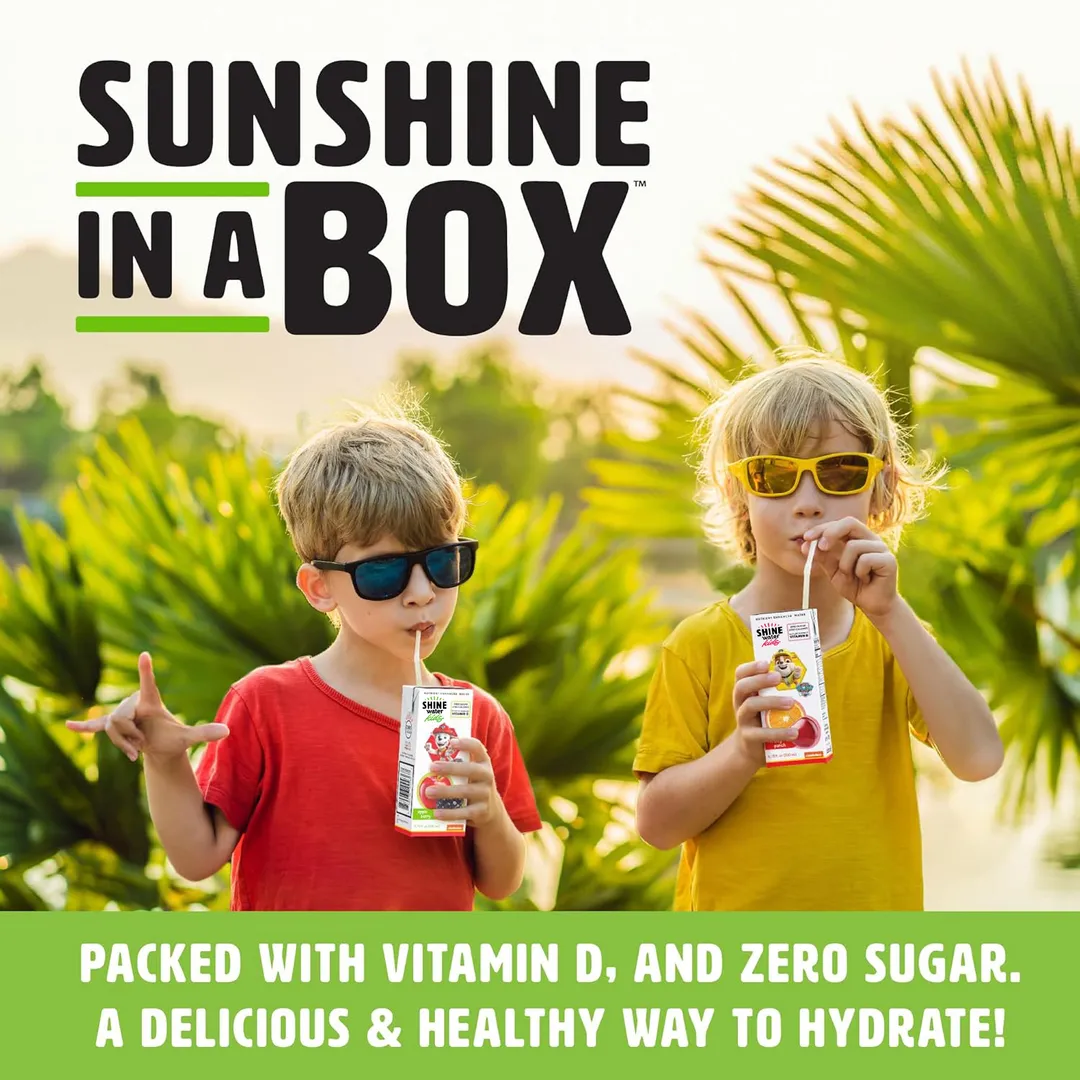 Apple Berry Drink Box - Pack of 32
