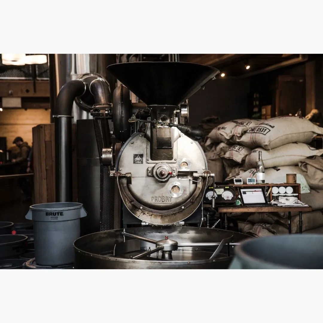 Organic Ethiopia, Yetatebe Shakisso, 12 oz Whole Bean