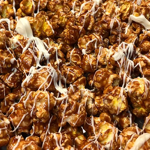 Large Gourmet Cinnamon Roll Popcorn Bag