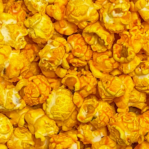 Large Gourmet Florida Man Popcorn Bag