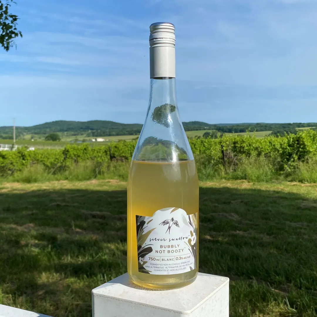 Bubbly Not Boozy - Blanc
